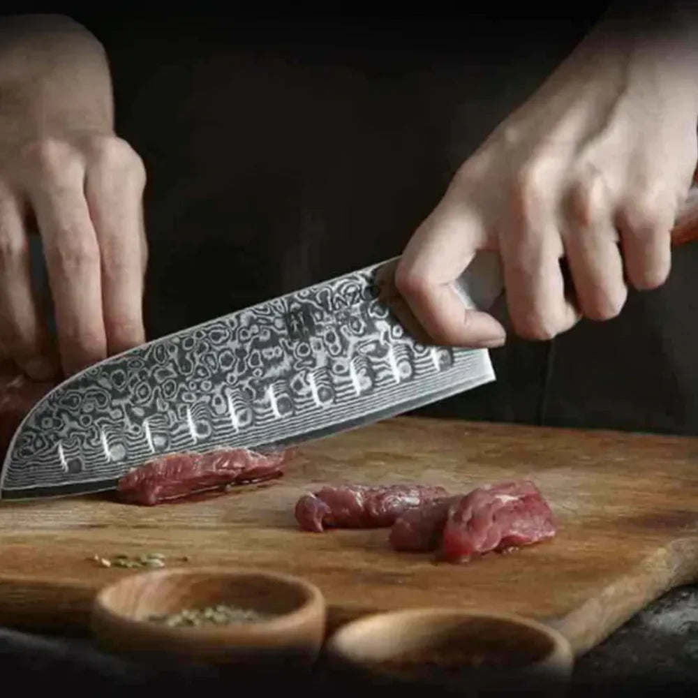 Damascus Steel Barbecue Knife