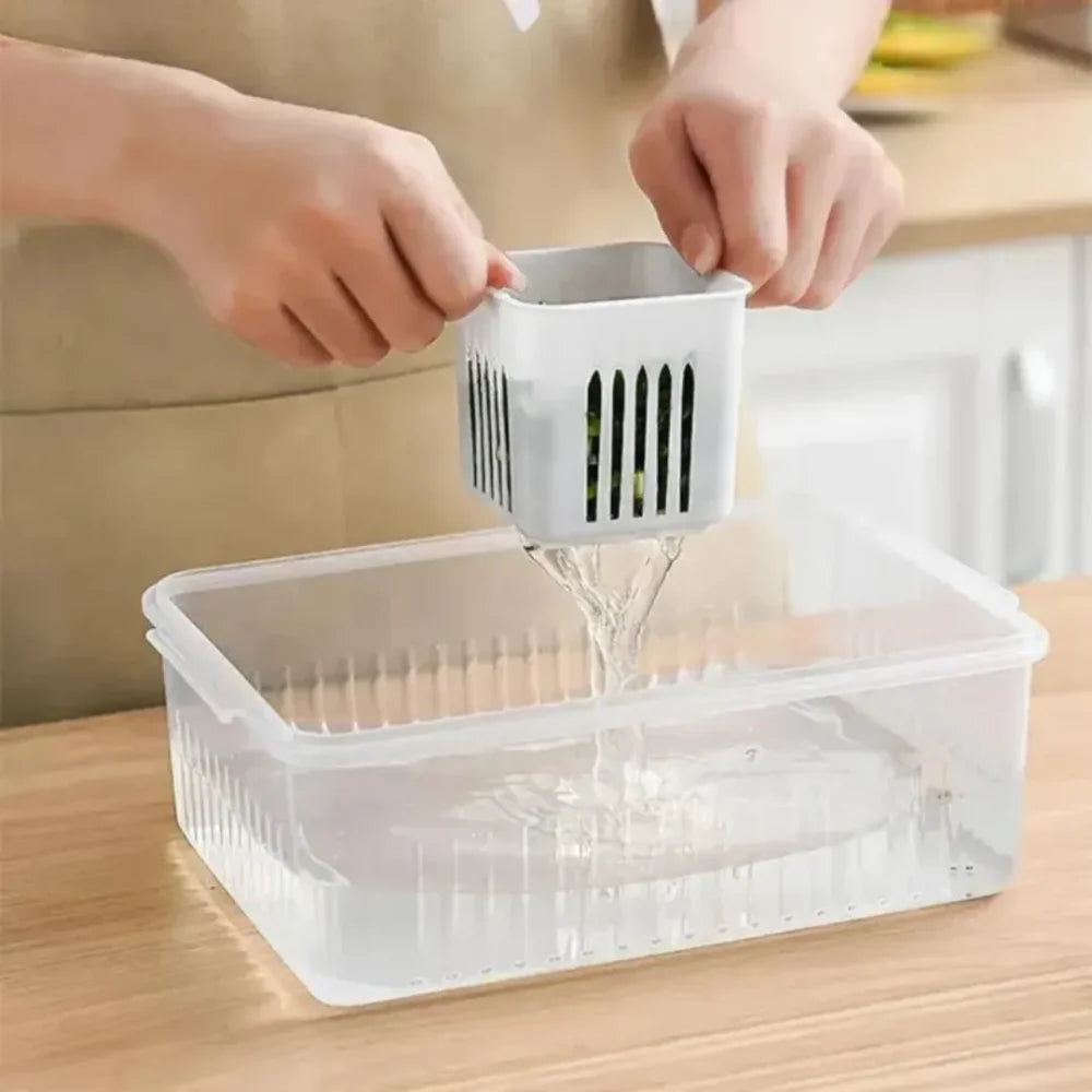 Refrigerator Organiser with Dividers
